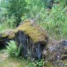 images/Schweden/Schweden 2010/IMG_0262.jpg